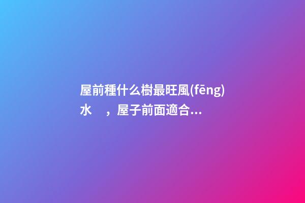 屋前種什么樹最旺風(fēng)水，屋子前面適合種什么樹